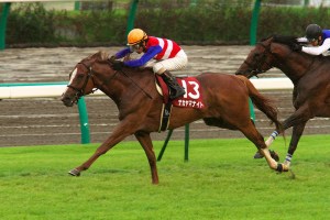 20120923_Nakayama_Knight