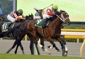 20131019 Danon Shark