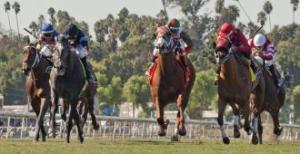 20131102_Mizdirection