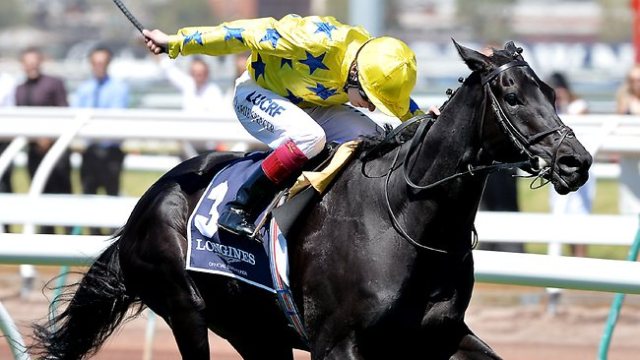 20131102_Side_Glance