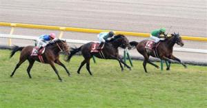 20131103_Asuka_Kurichan