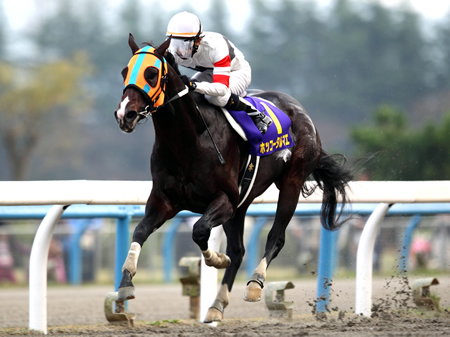 20131104_Hokko_Tarumae