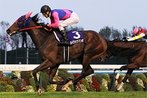 20131110_Meisho_Mambo