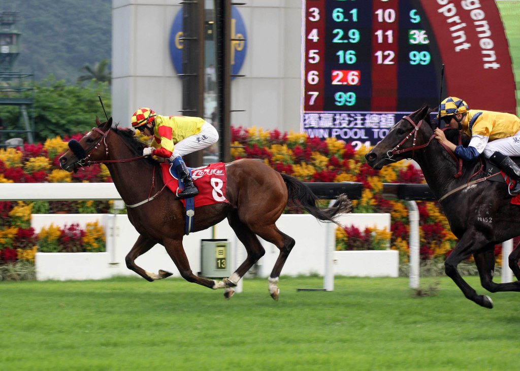 20131117_Charles_the_Great