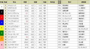 Japan Cup tote 20131123
