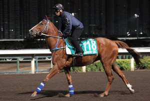 20131203_Rainbow_Chic