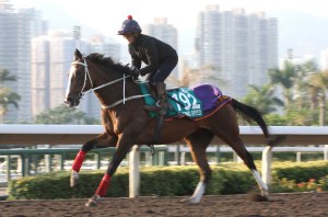 20131205_Blazing_Speed