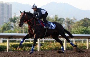 20131205_Real_Specialist