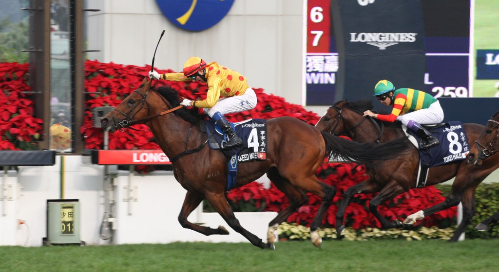 20131208_Akeed_Mofeed