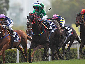 20131208_Glorious_Days