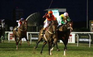 20131214_Sol_Carambolo