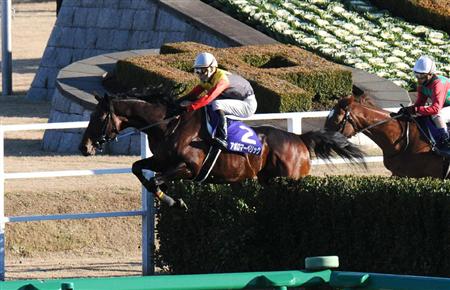 20131221_Apollo_Maverick