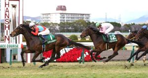 20131221_One_And_Only