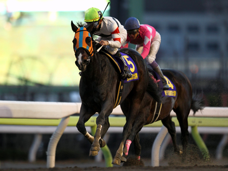 20131229_Hokko_Tarumae