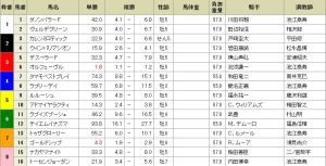 Arima Kinen tote 20131221