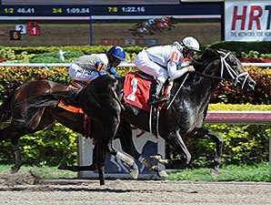 20140111_Revolutionary