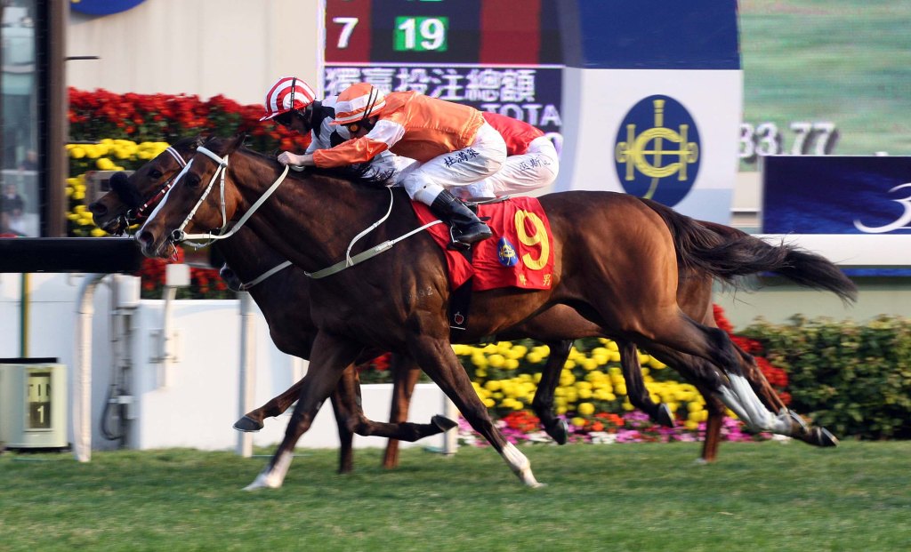 20140119_Blazing_Speed