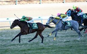 20140119_Pray_And_Real