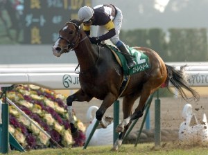 20140202_Stairght_Girl