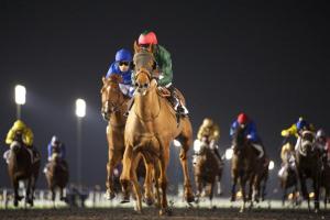 20140206_Prince_Bishop