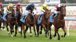 「地動山搖」最後200米突圍將所有對手追過，金拖鞋大賽早盤成為2.8倍大熱 Source: Getty Images