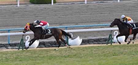 20140113_Lady_of_Opera