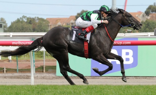 20140301_Shamus_Award