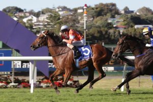 20140305_Who_Shot_Thebarman