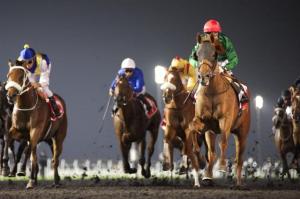 20140308_Prince_Bishop