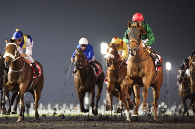 20140308_Prince_Bishop