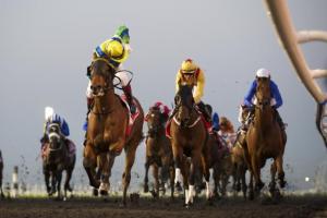 20140308_Rich_Tapestry