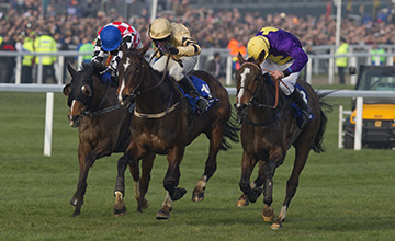 20140314_Lord_Windermere