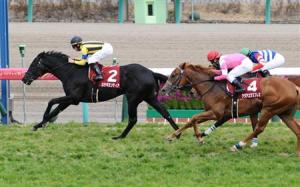 20140323_Rosa_Gigantea