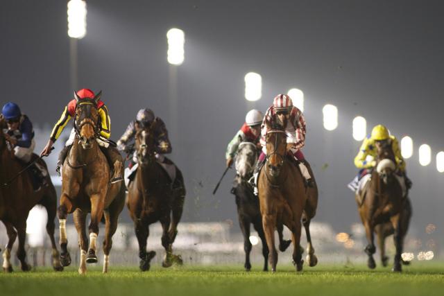 20140329_Gentildonna