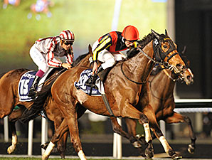 20140329_Gentildonna_2