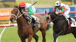 20111001_My_Kingdom_of_Fife