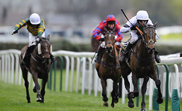 20140405_Pineau_de_Re