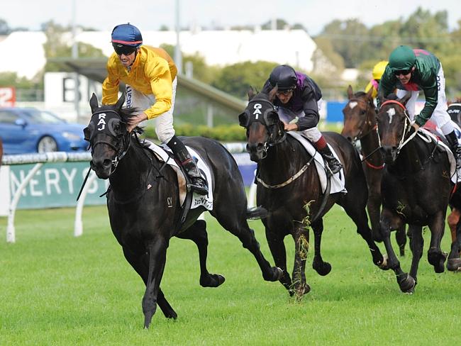 紐西蘭兩名駒先後宣佈離世