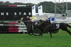 20140412_Royal_Descent