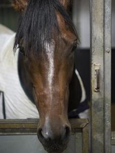 20140416_Its_A_Dundeel