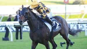 20140419_Its_A_Dundeel