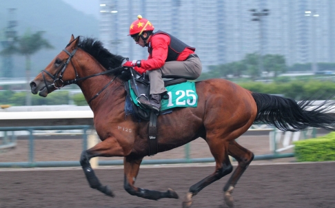 20140422_Akeed_Mofeed