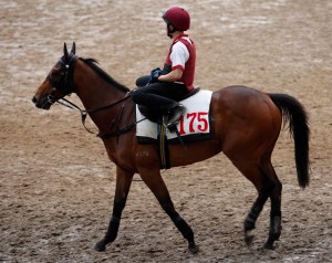 20140426_Military_Attack