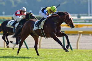 20131116_Bell_Canyon