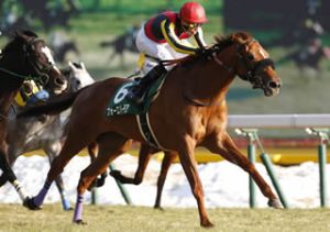 20140218_Forevermore