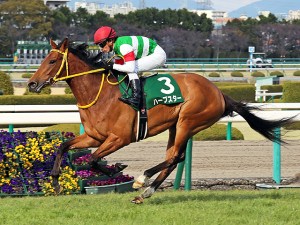 20140308_Harp_Star_2