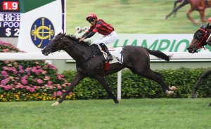 20140504_Bubble_Chic