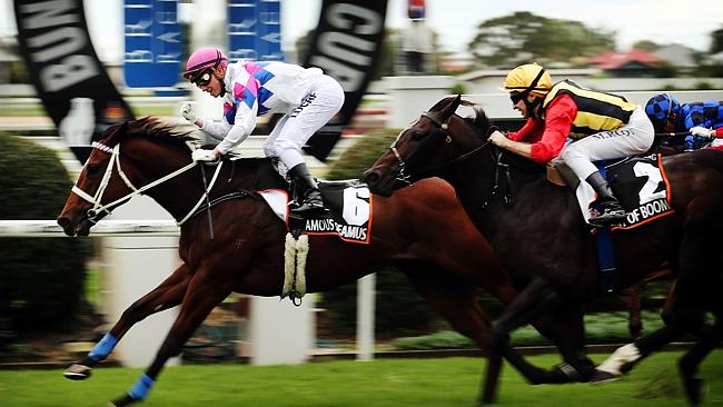 20140510_Famous_Seamus