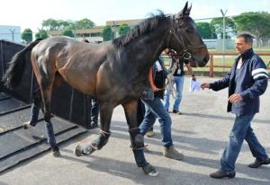 20140510_Smoking_Sun