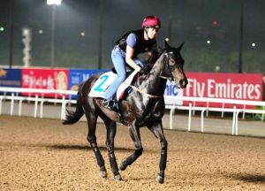 20140512_Sterling_City